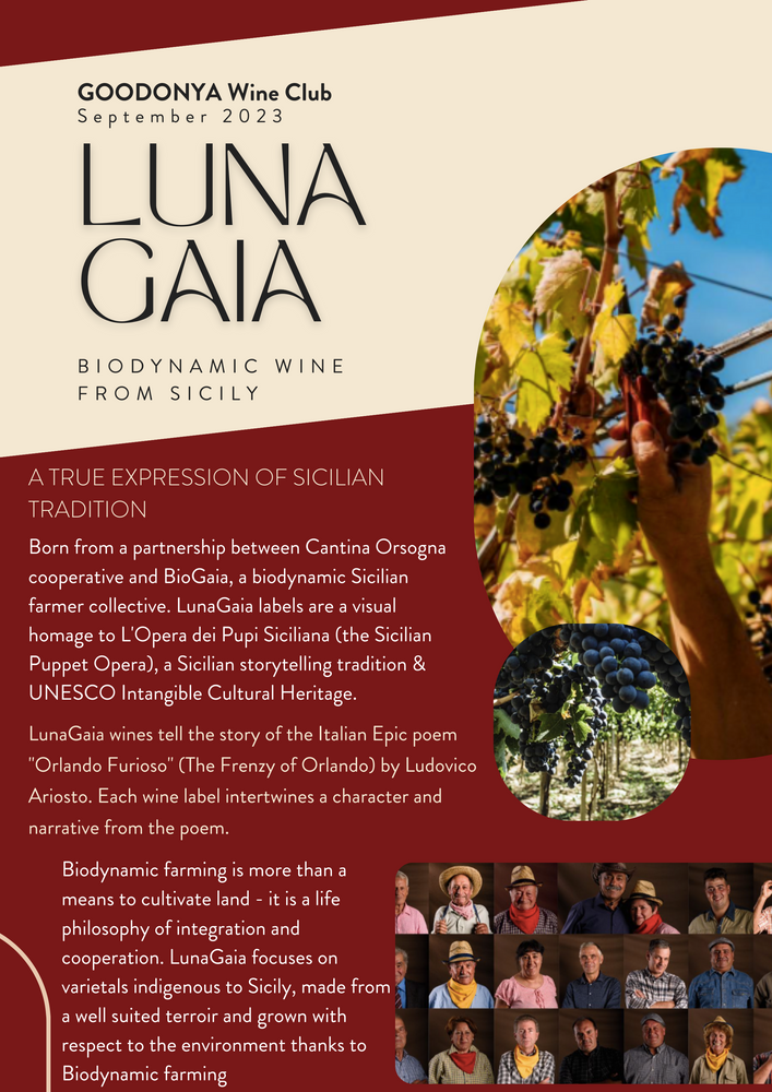 September Wine Club